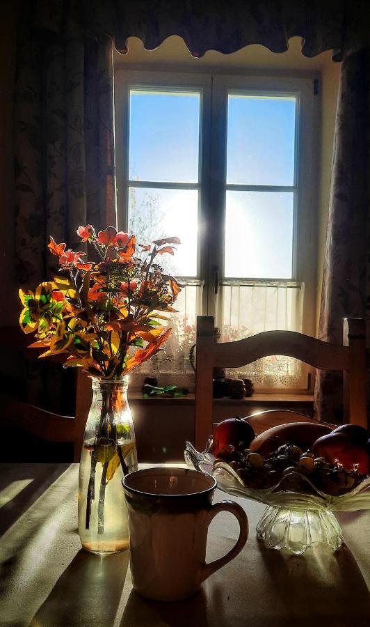 Dwor Na Wichrowym Wzgorzu Bed & Breakfast Przybysławice Exterior foto