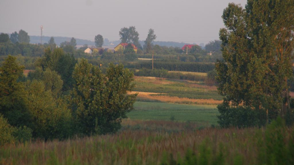Dwor Na Wichrowym Wzgorzu Bed & Breakfast Przybysławice Exterior foto