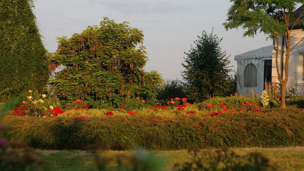Dwor Na Wichrowym Wzgorzu Bed & Breakfast Przybysławice Exterior foto