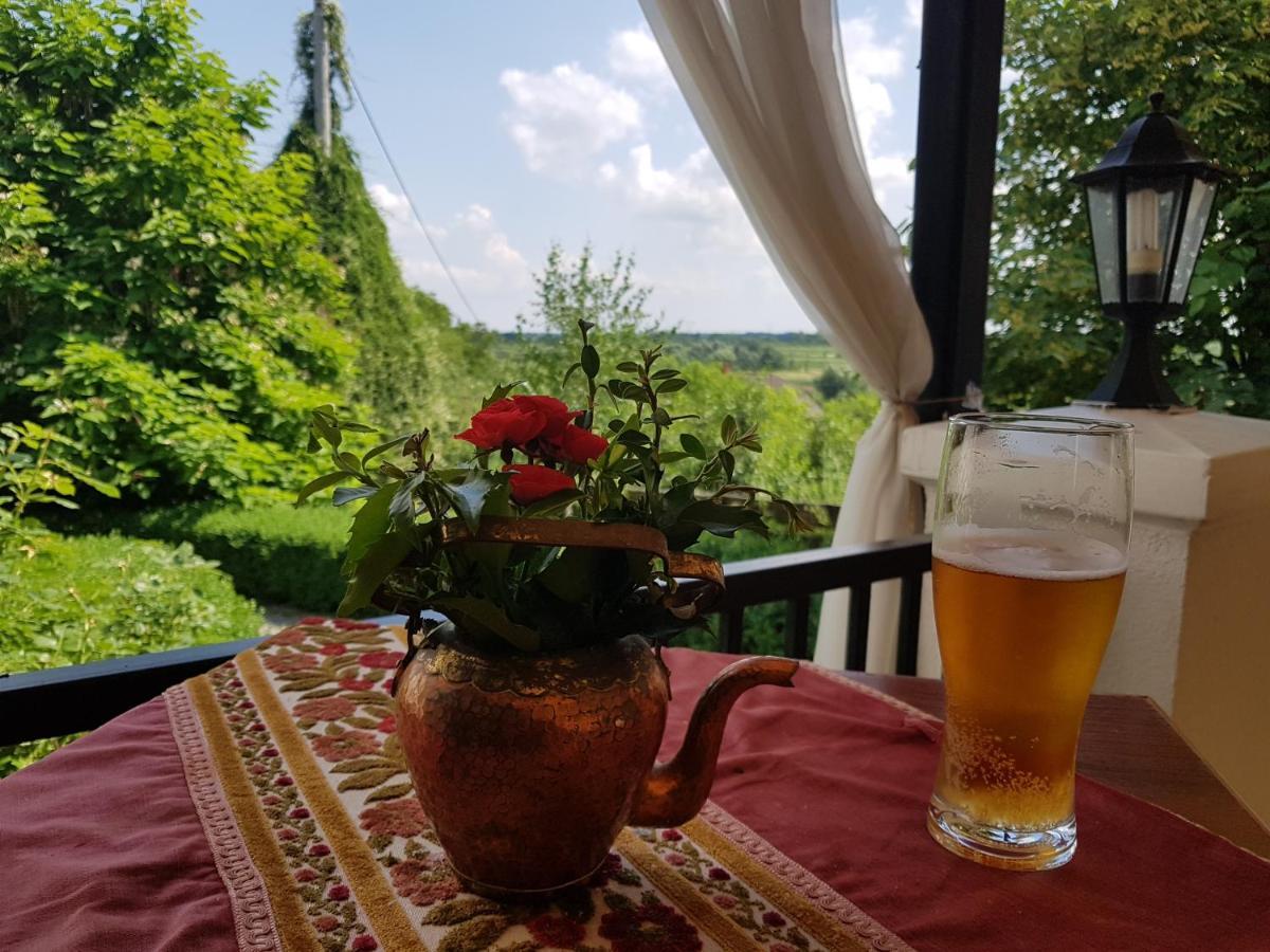 Dwor Na Wichrowym Wzgorzu Bed & Breakfast Przybysławice Exterior foto