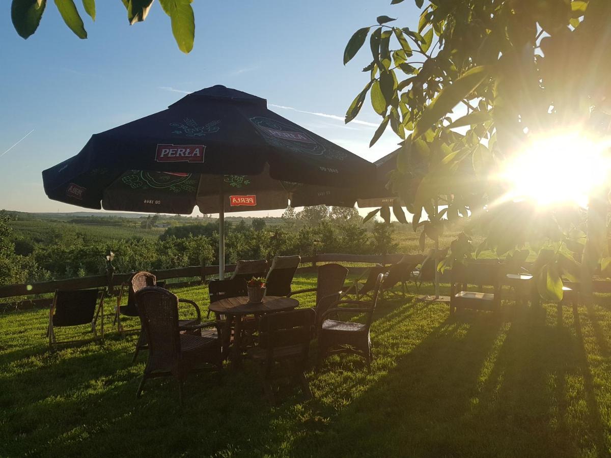 Dwor Na Wichrowym Wzgorzu Bed & Breakfast Przybysławice Exterior foto